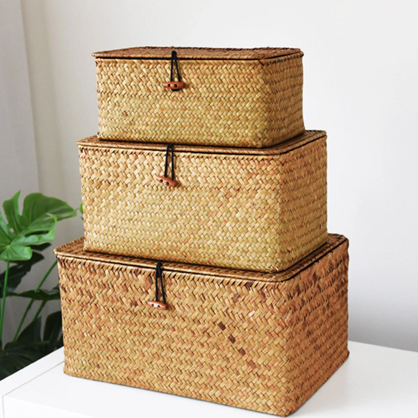 WillowNest Handwoven Rattan Storage Box
